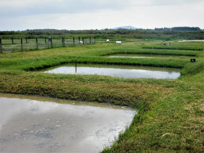 Rectangular pools of water in grass. Kenyan fish farms.